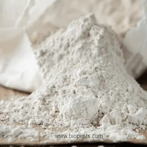 diatomaceous earth